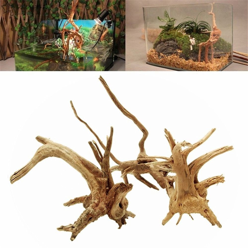 Planted Aquarium With Driftwood - New Natural Wooden Fish Tank Decorations