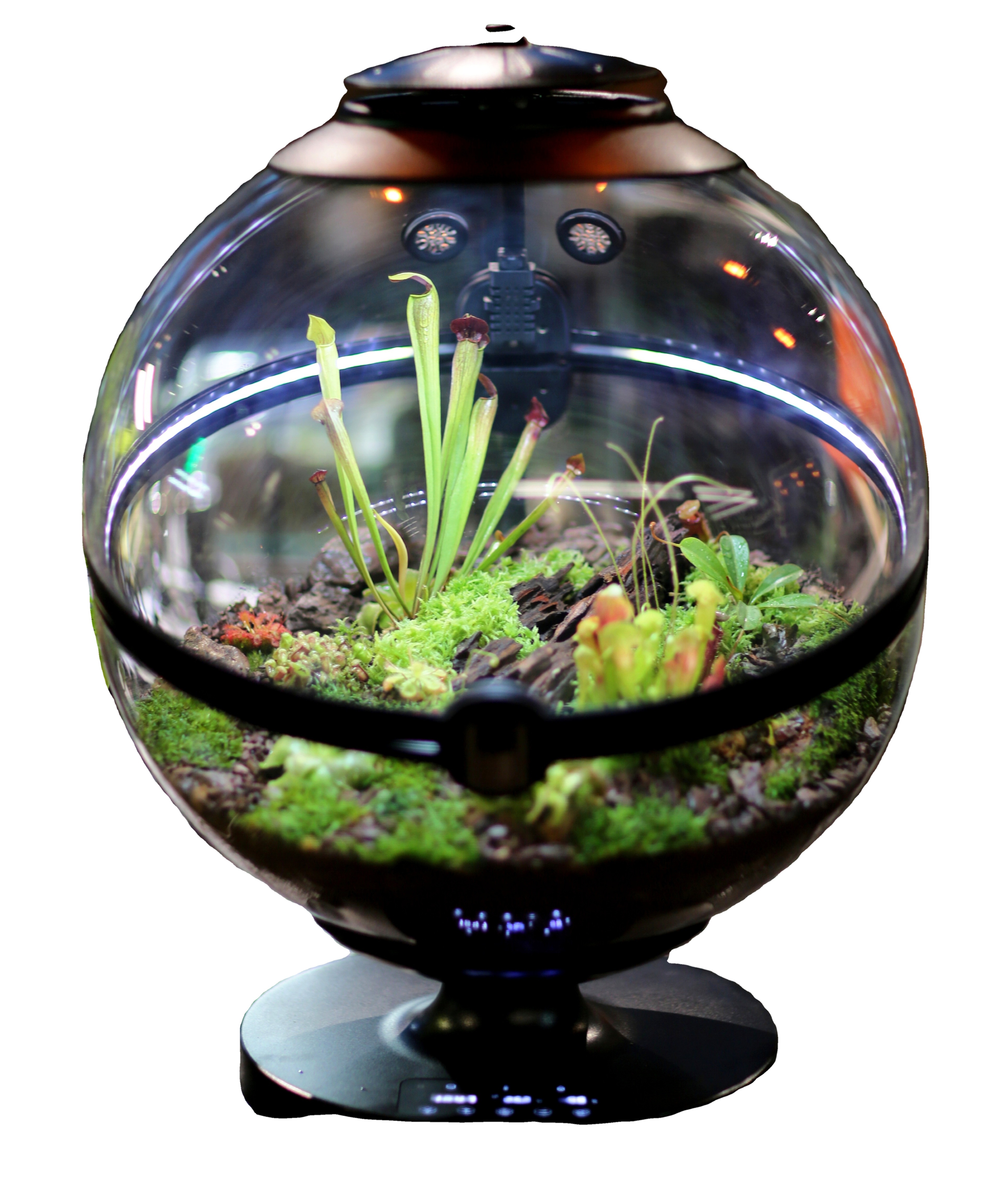 Aquarium Plant Design - Hot Sales Acrylic Material Ball Plant
