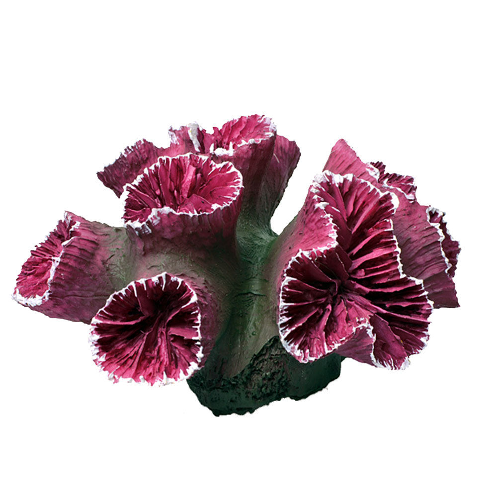 Aquarium Plant Design - Coral For Fish Tank Aquarium Reef