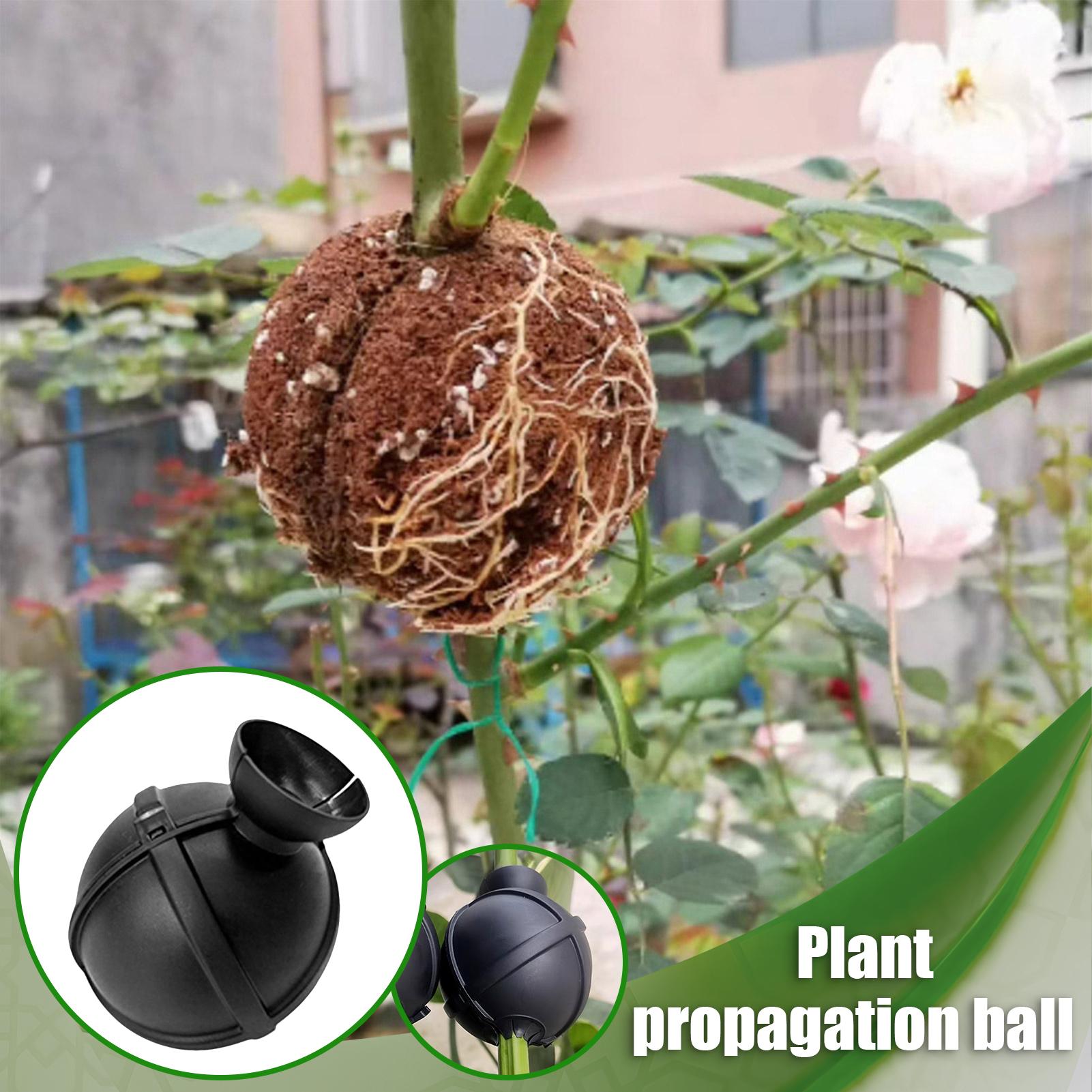 Aquasoil Substrate - Propagation Ball Air Layering Pods Grafting