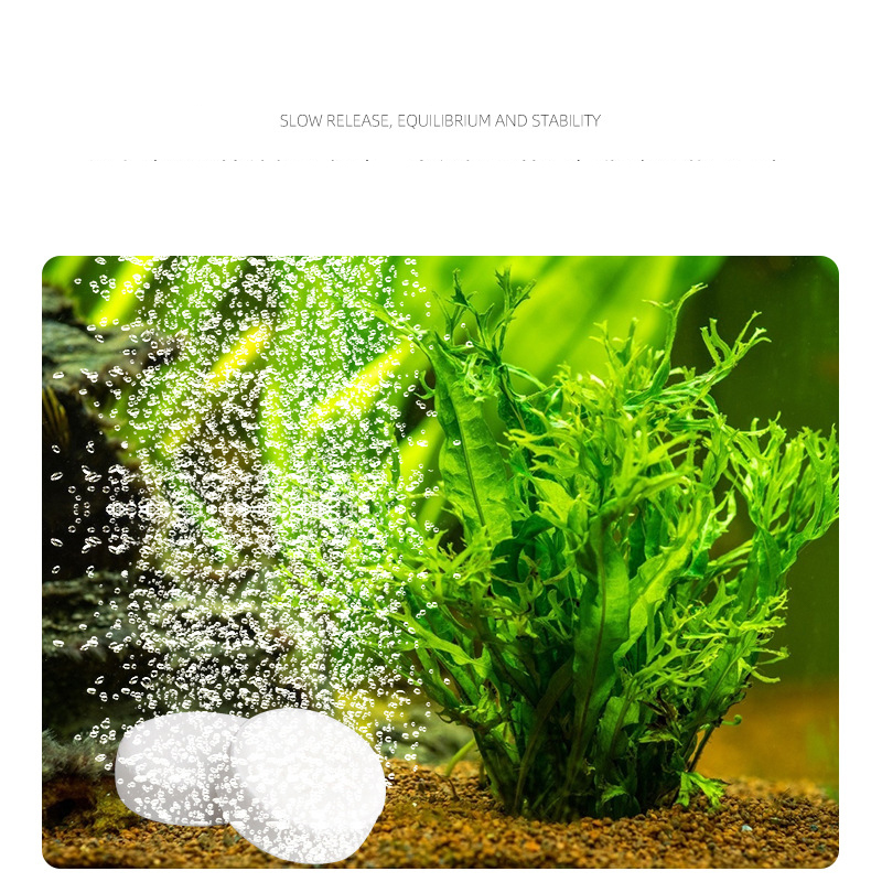 ISTA  Fish Tank Aquarium CO2 T - đánh giá và giá Planted Aquarium Without Co2