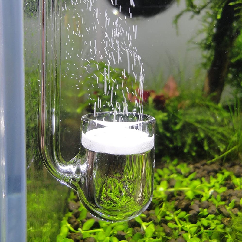 D0AD Glass CO2 Diffuser for Aq - đánh giá và giá Aquarium Plant Design