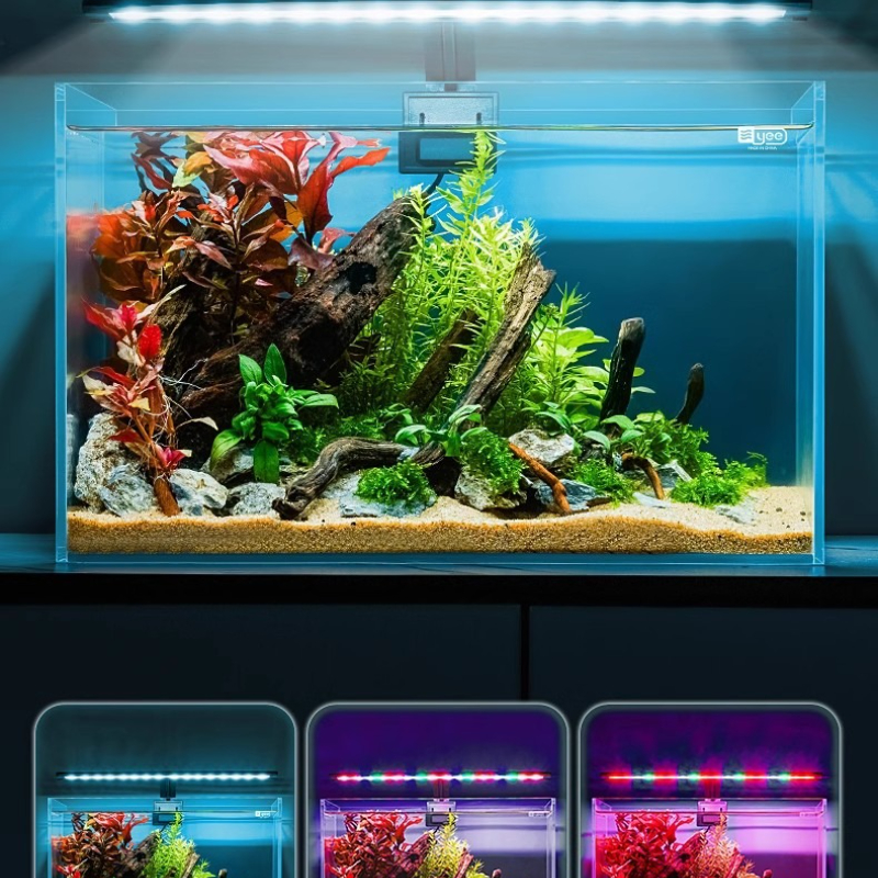 YEE Aquarium LED Light -Waterp - đánh giá và giá Planted Aquarium Mini