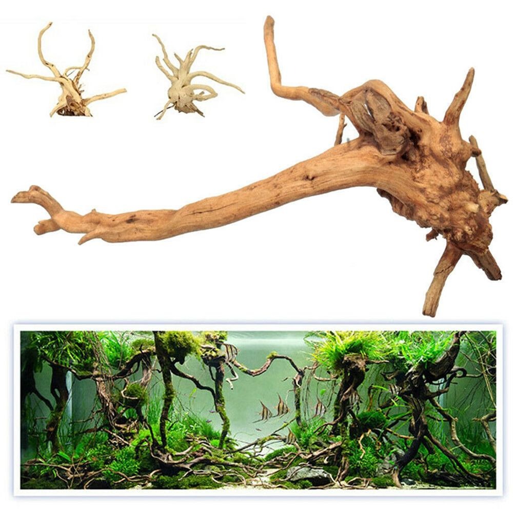New Natural Wooden Fish Tank D - đánh giá và giá Planted Aquarium With Driftwood