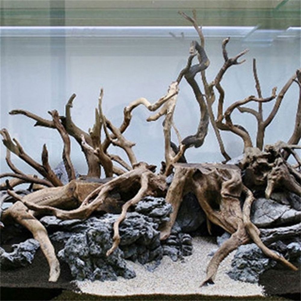 New Natural Wooden Fish Tank D - đánh giá và giá Planted Aquarium With Driftwood