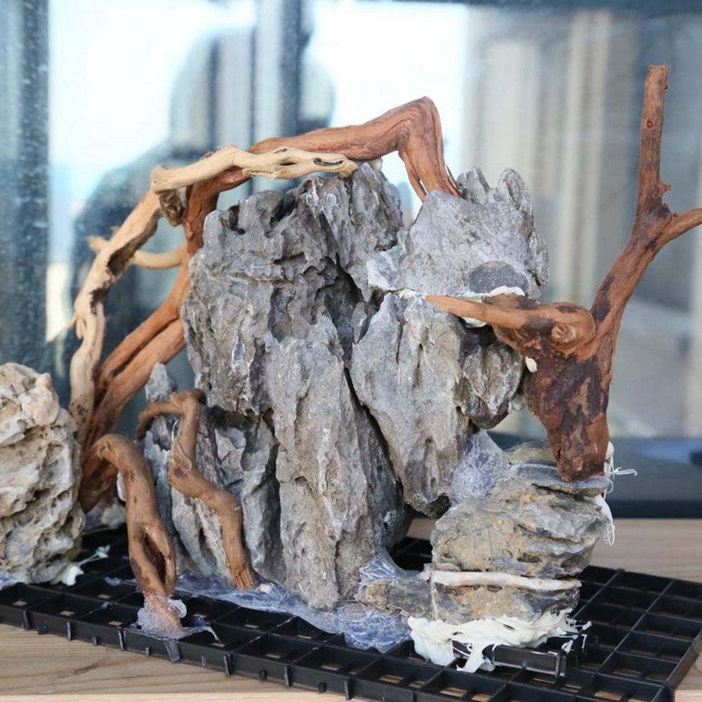 N1N Wood Reptile Tank Backgrou - đánh giá và giá Planted Aquarium With Driftwood