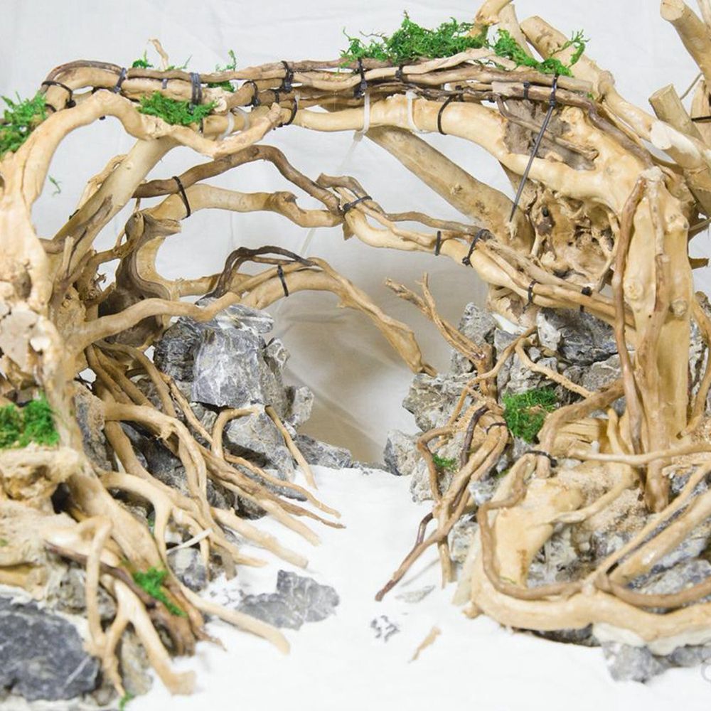 N1N Wood Reptile Tank Backgrou - đánh giá và giá Planted Aquarium With Driftwood
