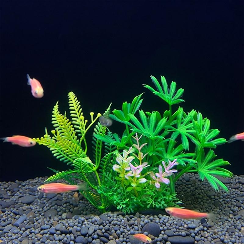 Artificial Aquarium Decoration - đánh giá và giá Planted Aquarium Best Fish