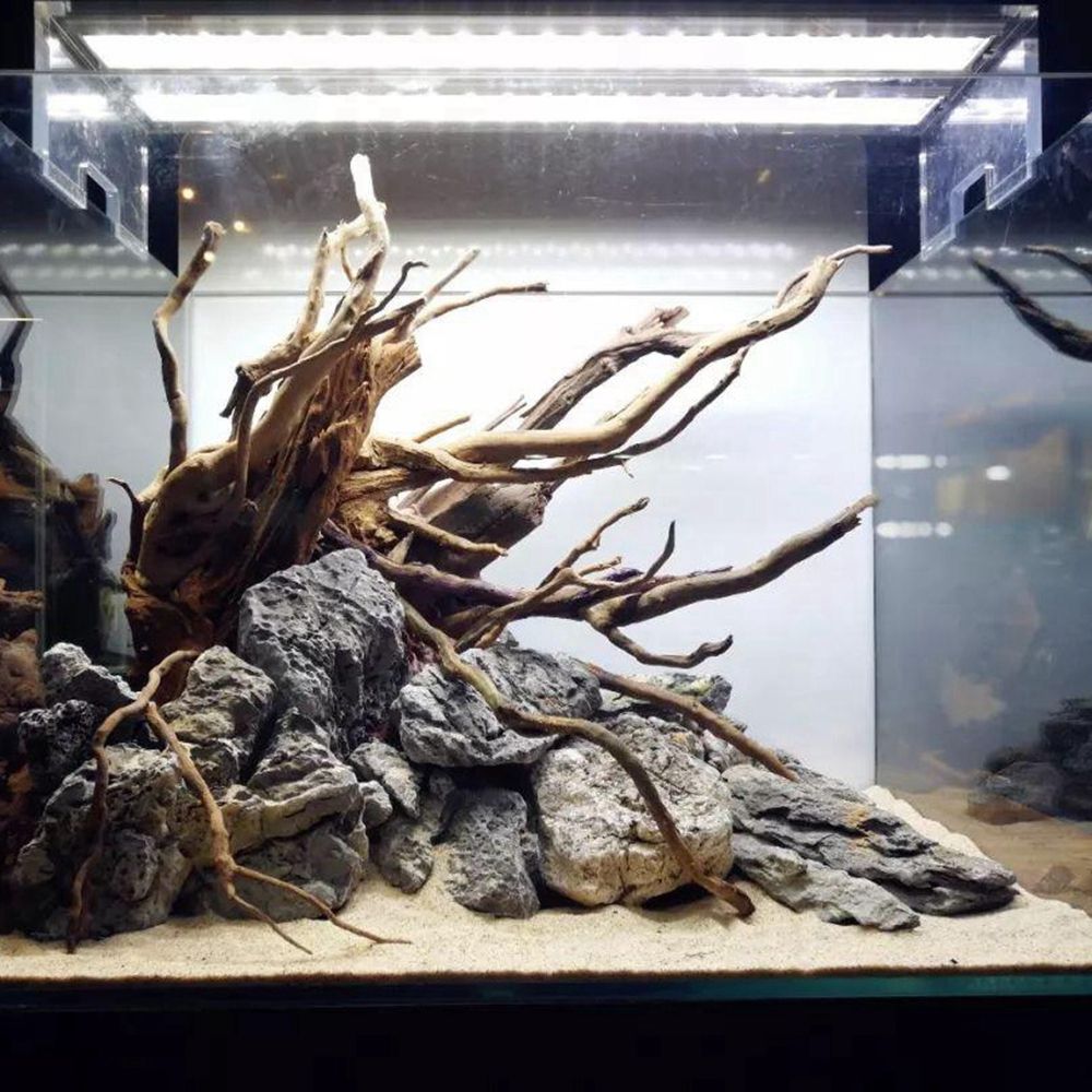 Wood N1N Reptile Tank Backgrou - đánh giá và giá Planted Aquarium With Driftwood