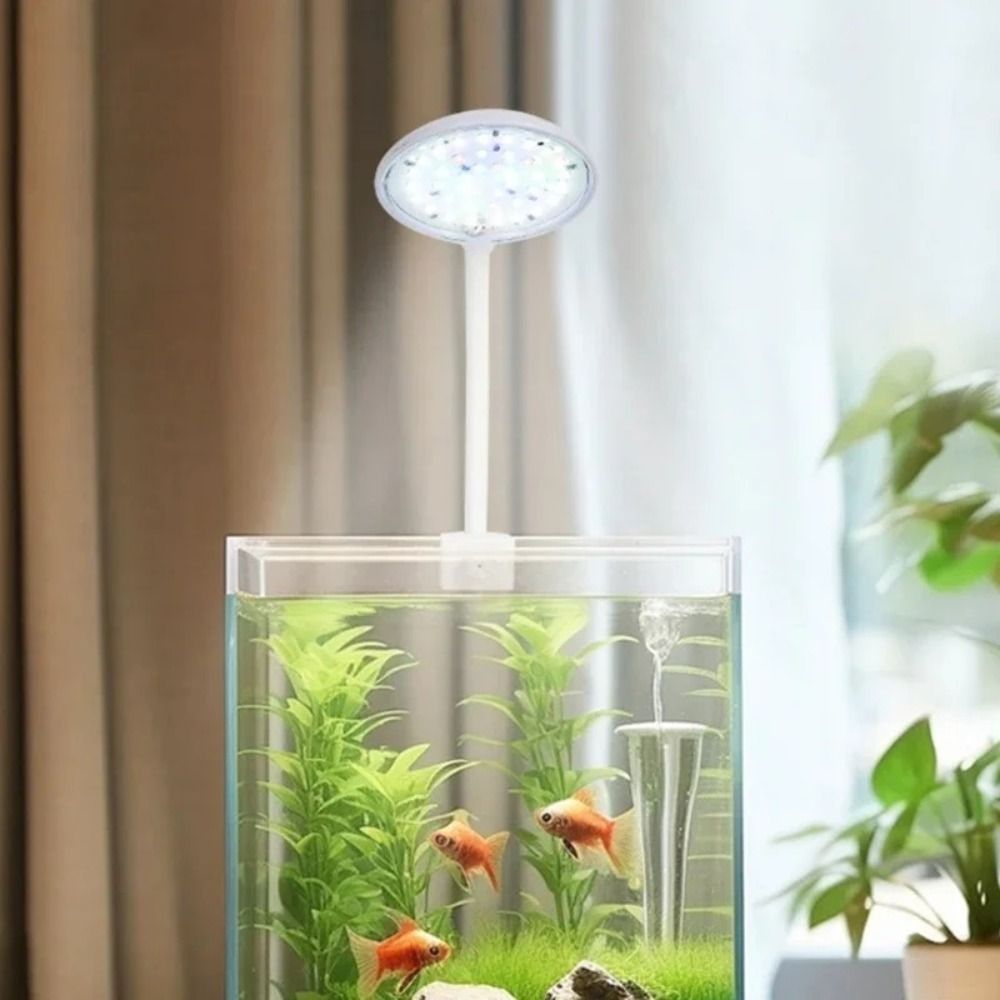 Mini Fish Tank Clip Lamp 5/7W  - đánh giá và giá Planted Aquarium Mini