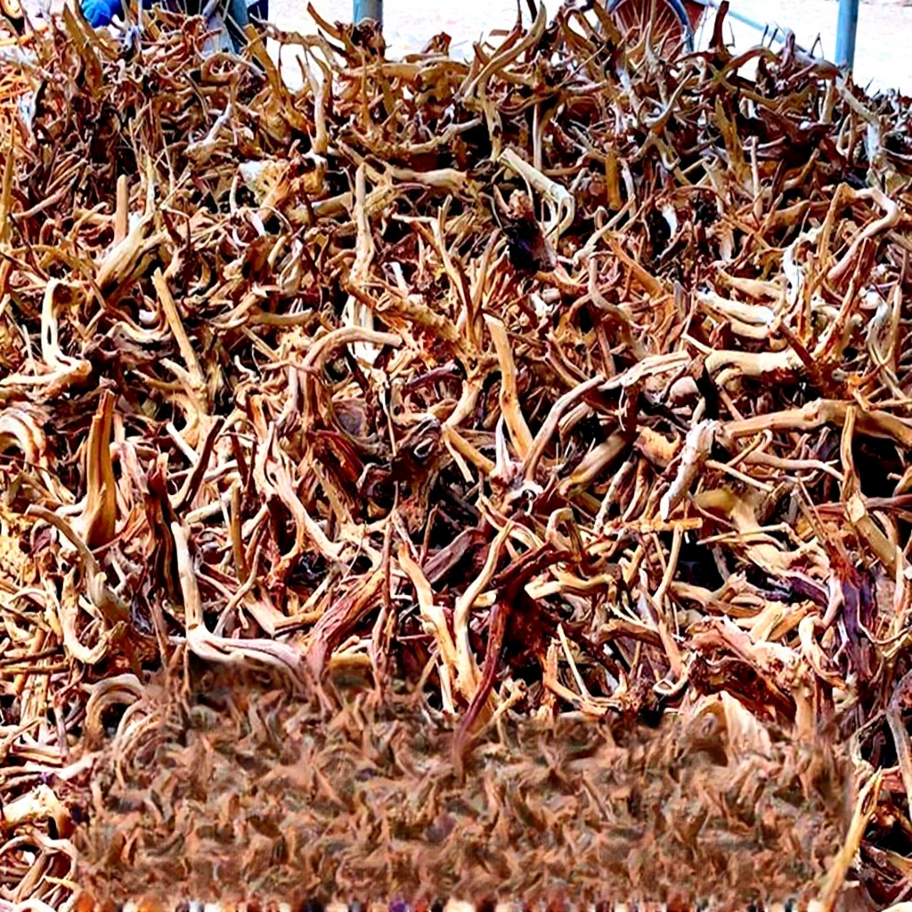 Natural Driftwood Branches For - đánh giá và giá Planted Aquarium With Driftwood
