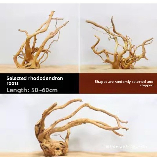 Natural Driftwood Branches For - đánh giá và giá Planted Aquarium With Driftwood
