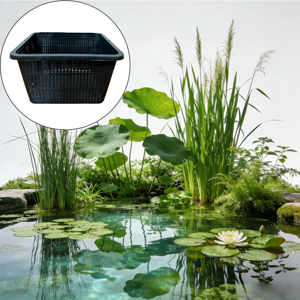 Aquarium Mesh Grow Tray Aquati - đánh giá và giá Aquarium Plant Design