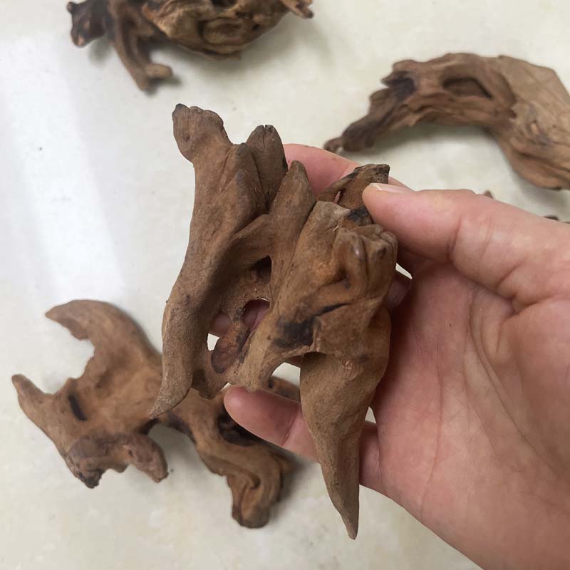 1PC Natural Aquarium Sinkable  - đánh giá và giá Planted Aquarium With Driftwood