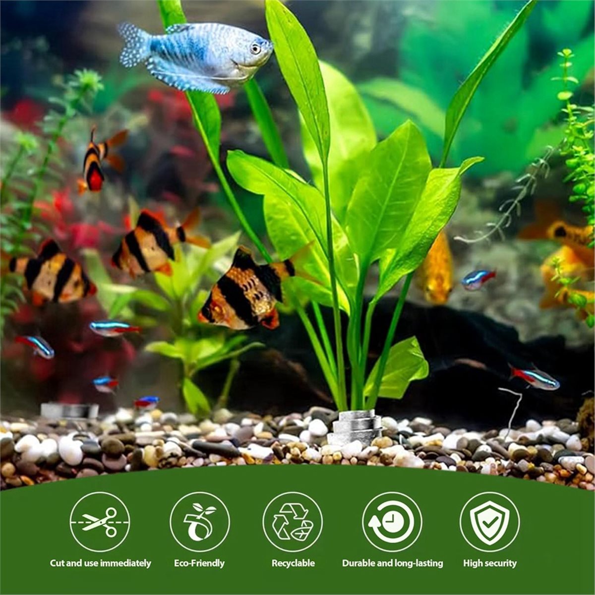 Utility Design Aquarium Plant  - đánh giá và giá Aquarium Plant Design