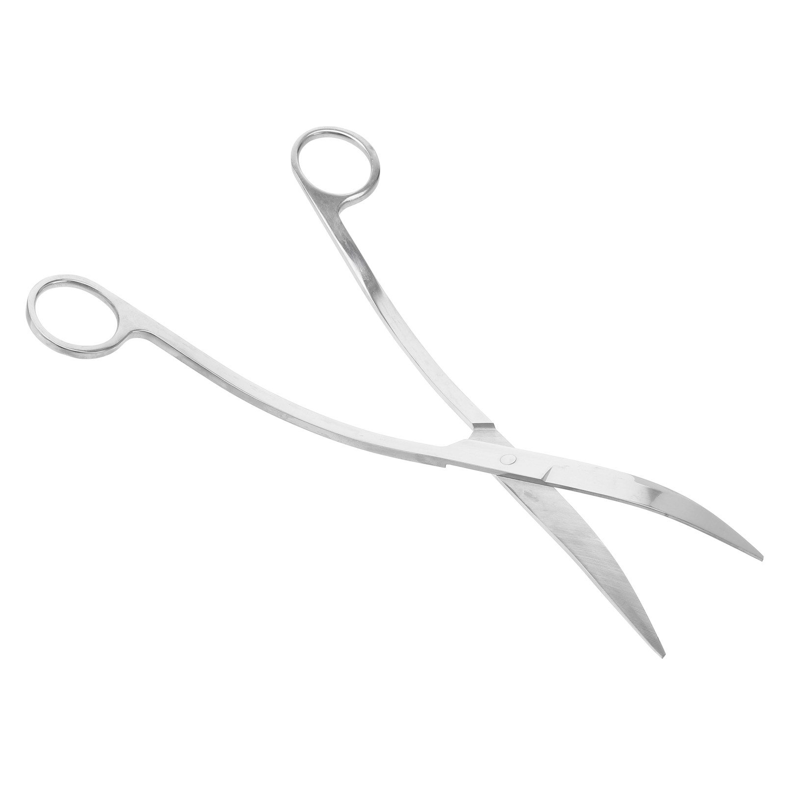 24 Cm Stainless Scissors for A - đánh giá và giá Aquarium Plant Design