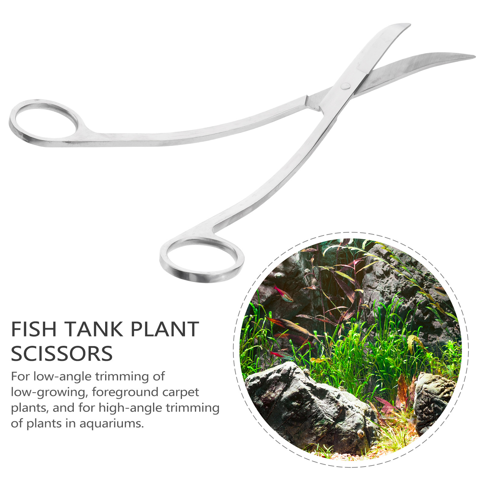 24 Cm Stainless Scissors for A - đánh giá và giá Aquarium Plant Design