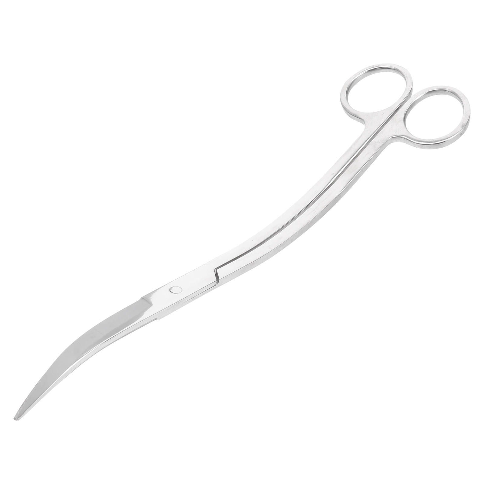 24 Cm Stainless Scissors for A - đánh giá và giá Aquarium Plant Design