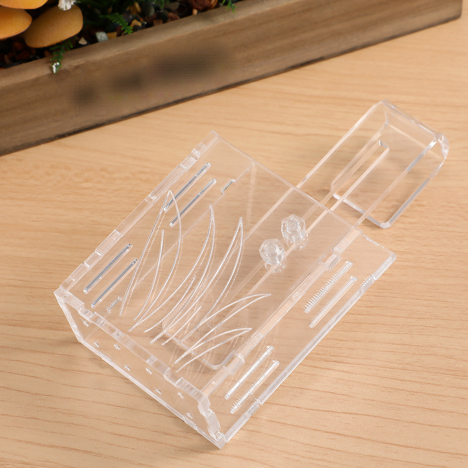 Acrylic Aquarium Plant Holder  - đánh giá và giá Aquarium Plant Design