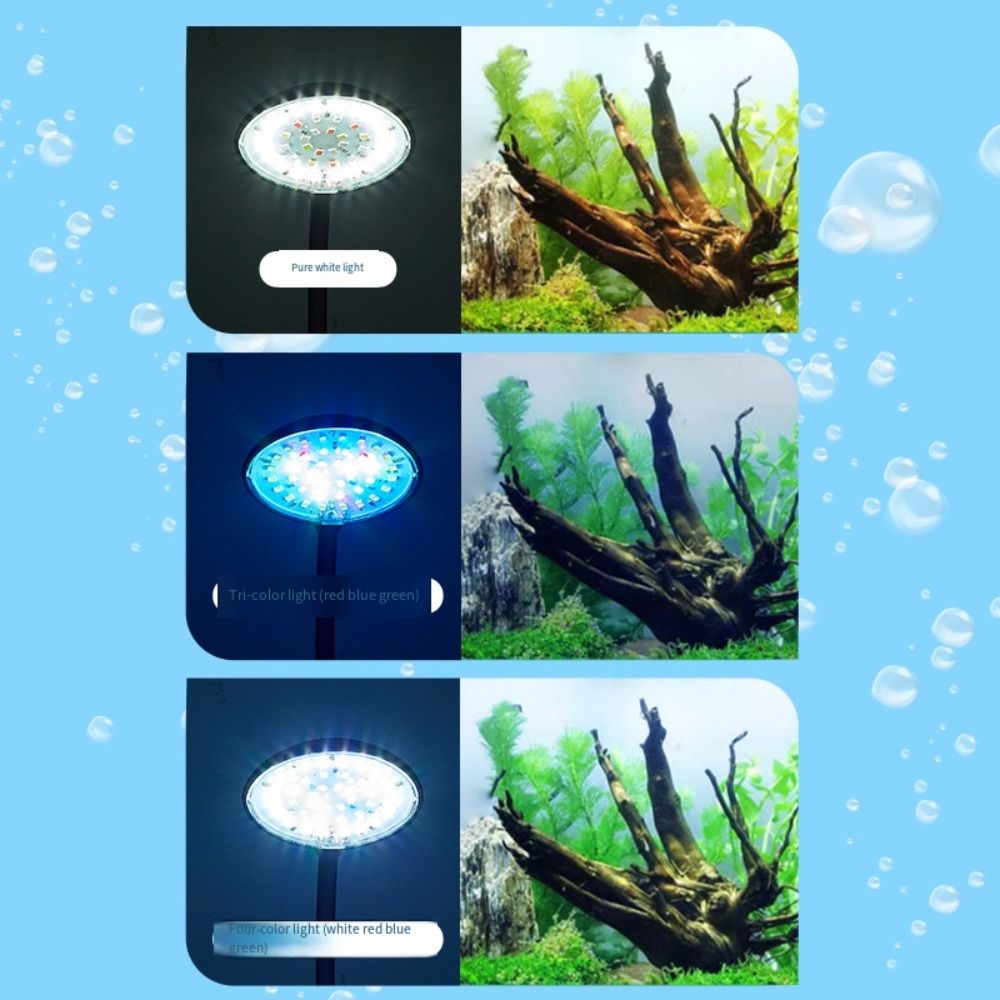 Mini Fish Tank Clip Lamp 360-D - đánh giá và giá Planted Aquarium Mini