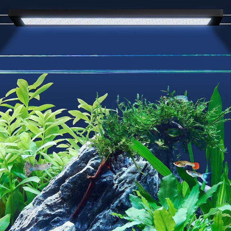 YEE LED Aquarium Light Full Sp - đánh giá và giá Aquarium Plant Design