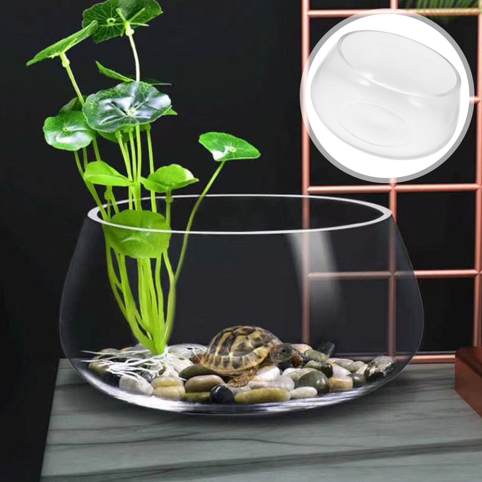 Round Mini Aquarium Tank Clear - đánh giá và giá Planted Aquarium Mini