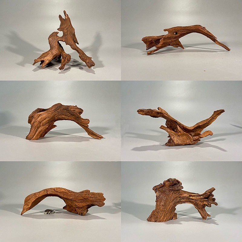 Natural Driftwood Aquarium Mos - đánh giá và giá Planted Aquarium With Driftwood