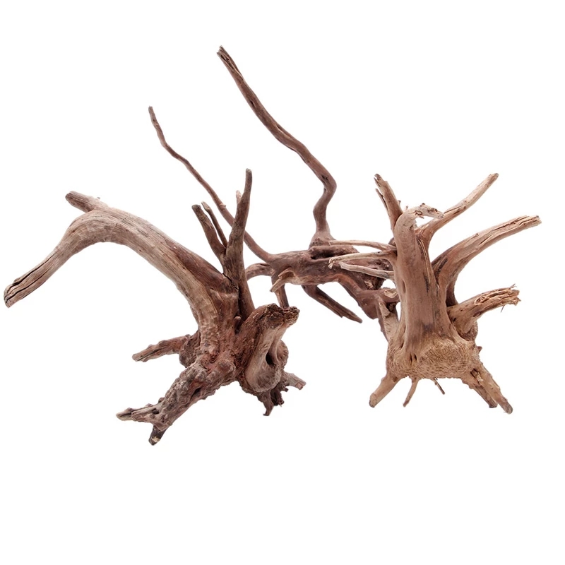 Wood Natural Trunk Driftwood T - đánh giá và giá Planted Aquarium With Driftwood