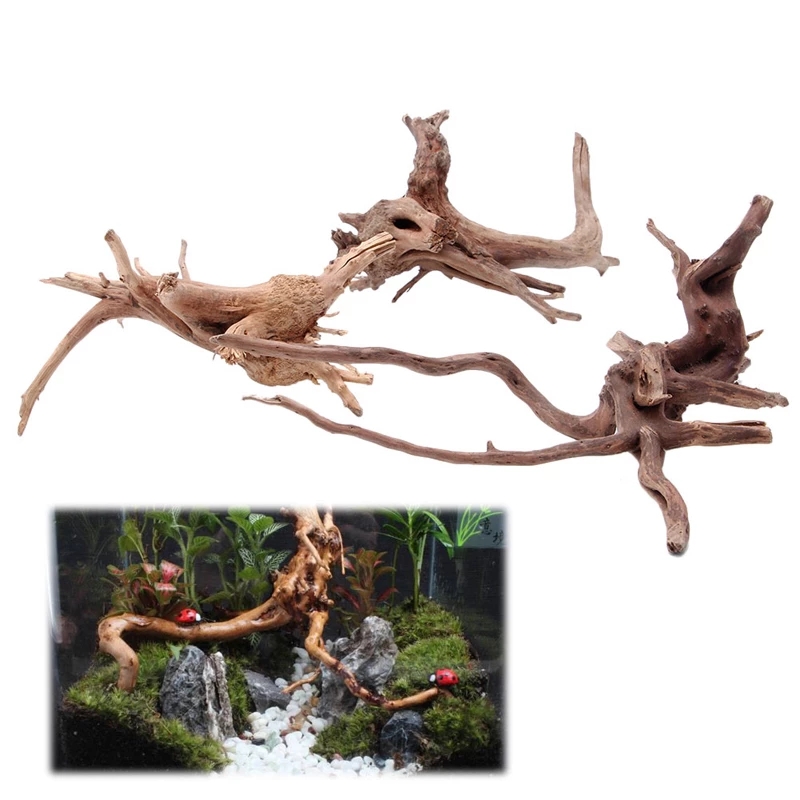 Wood Natural Trunk Driftwood T - đánh giá và giá Planted Aquarium With Driftwood