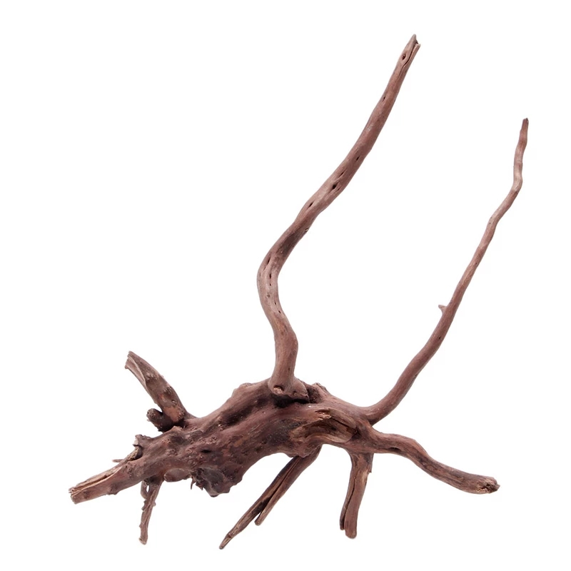 Wood Natural Trunk Driftwood T - đánh giá và giá Planted Aquarium With Driftwood