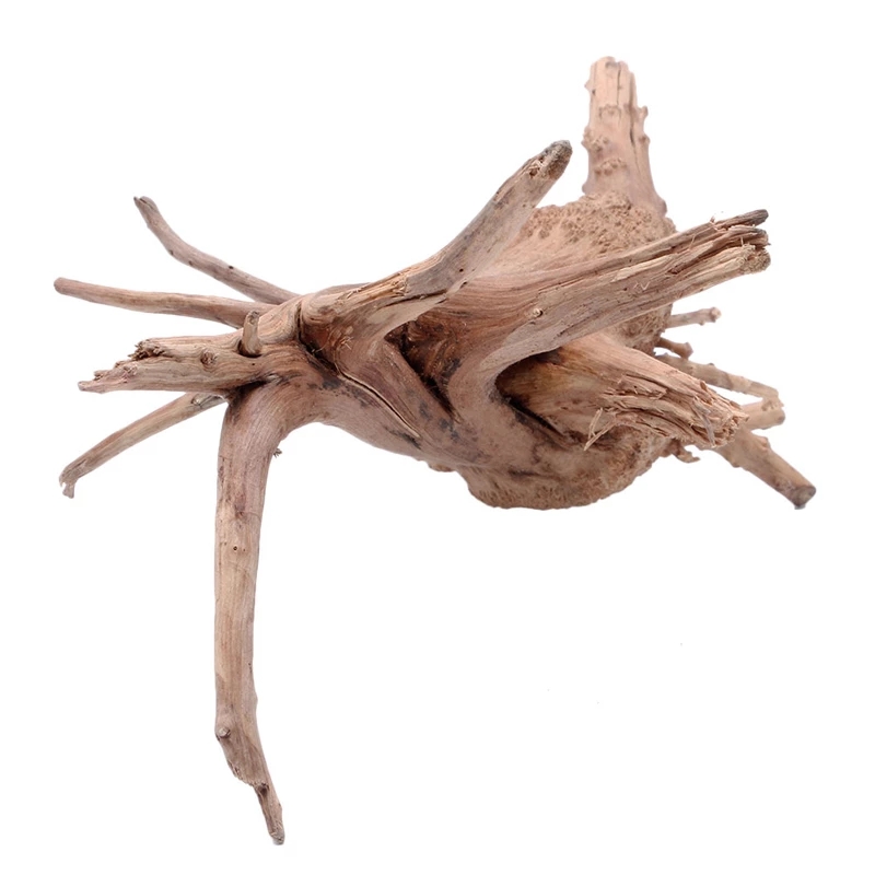 Wood Natural Trunk Driftwood T - đánh giá và giá Planted Aquarium With Driftwood