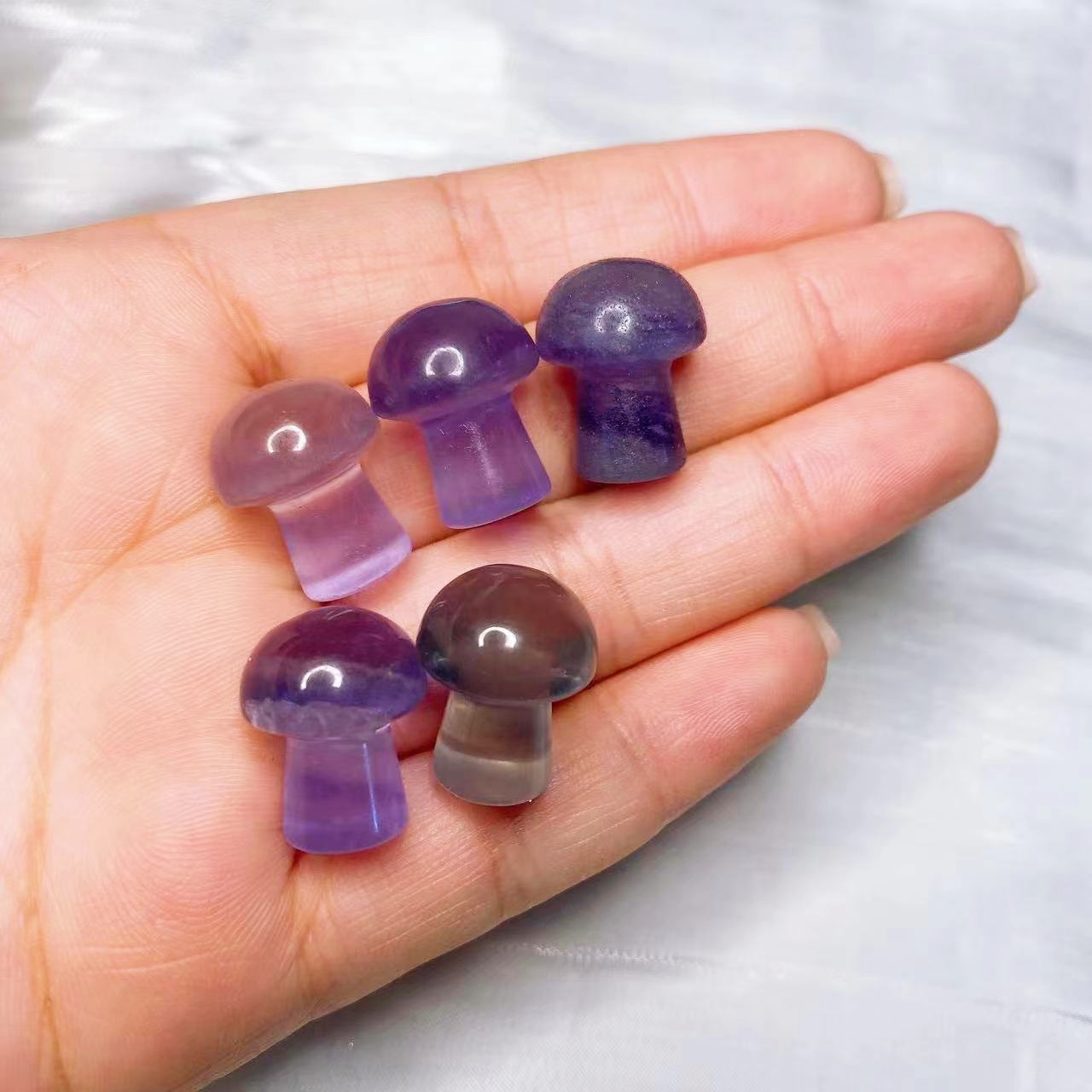Natural Crystal Mini Mushroom  - đánh giá và giá Planted Aquarium Mini