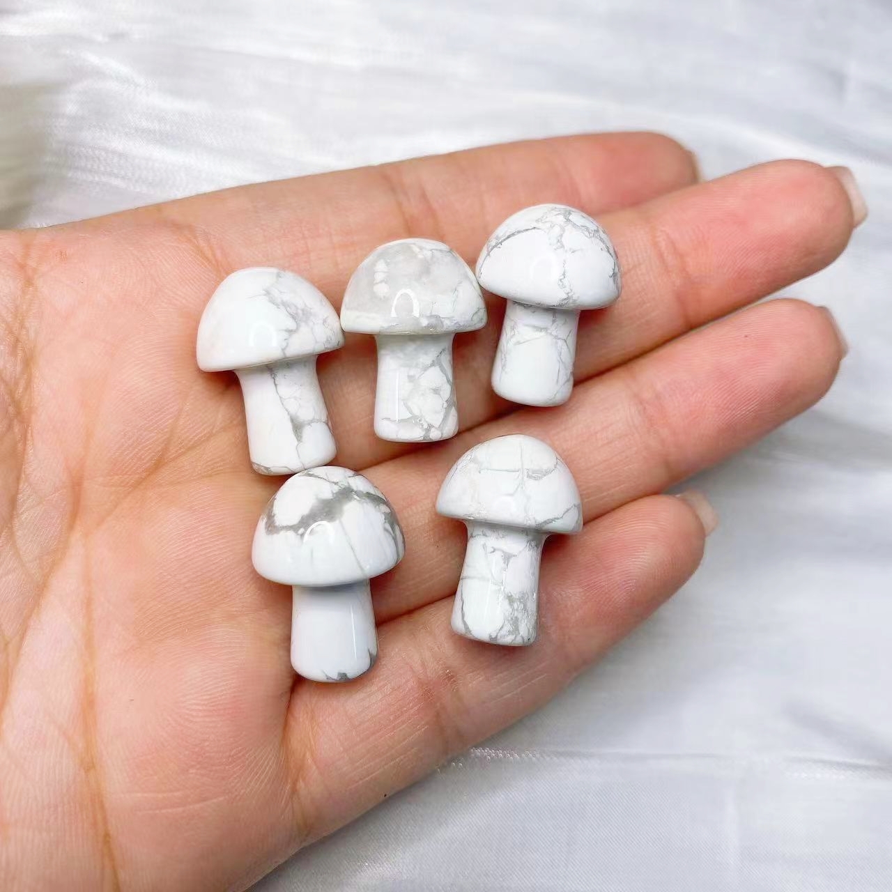Natural Crystal Mini Mushroom  - đánh giá và giá Planted Aquarium Mini