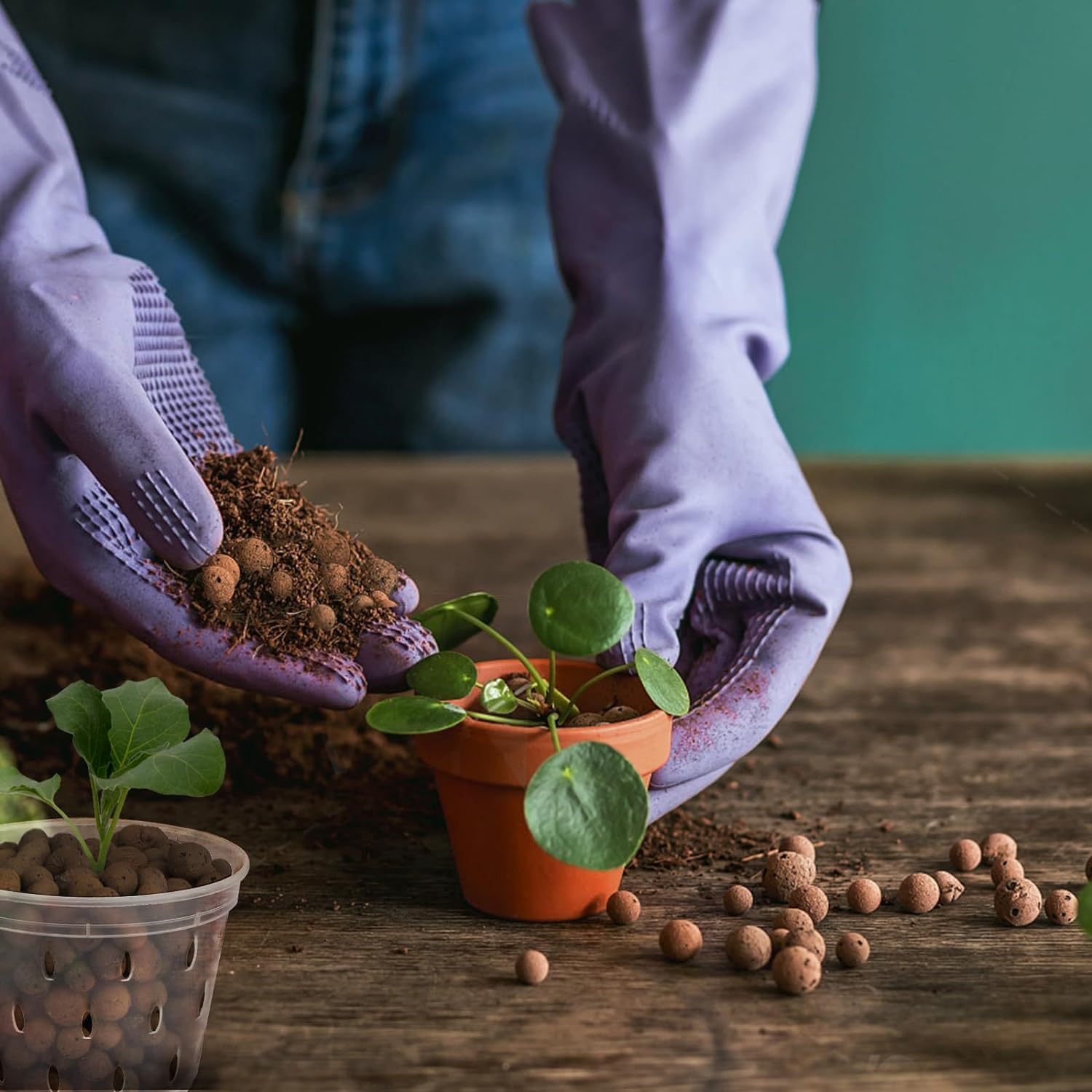 2L/1L Organic clay balls, Flow - đánh giá và giá Aquasoil Substrate