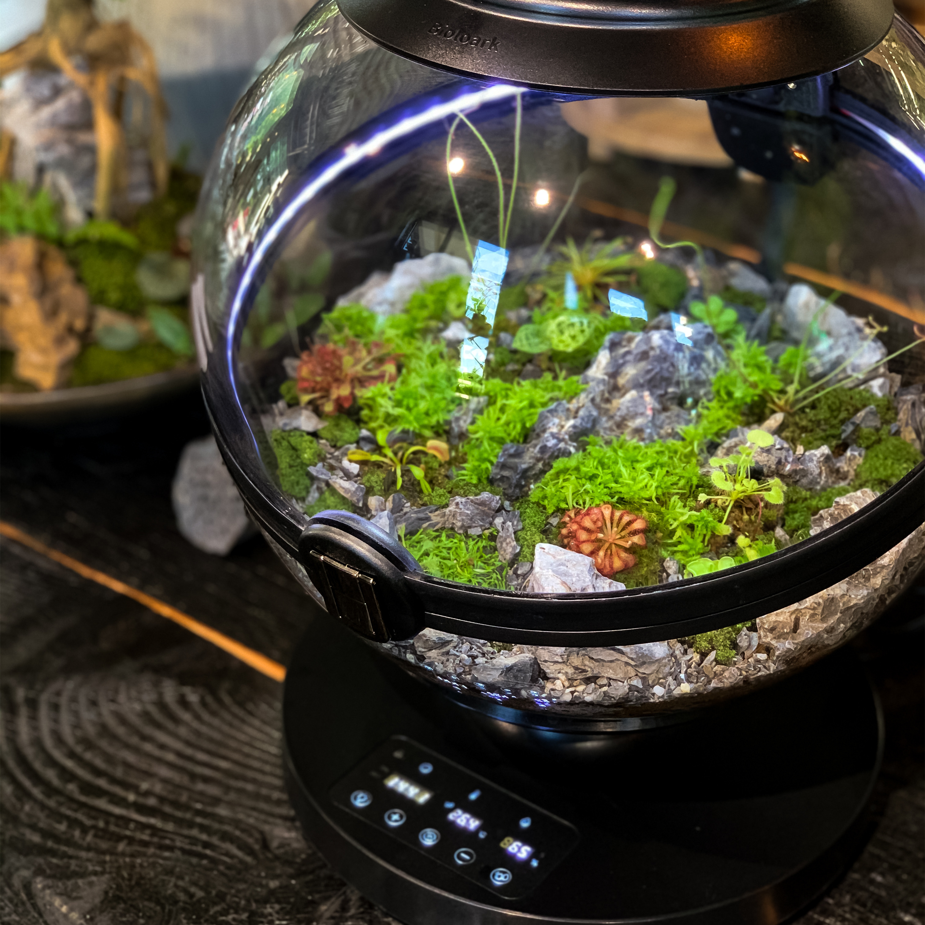Hot Sales Acrylic Material  Ba - đánh giá và giá Aquarium Plant Design