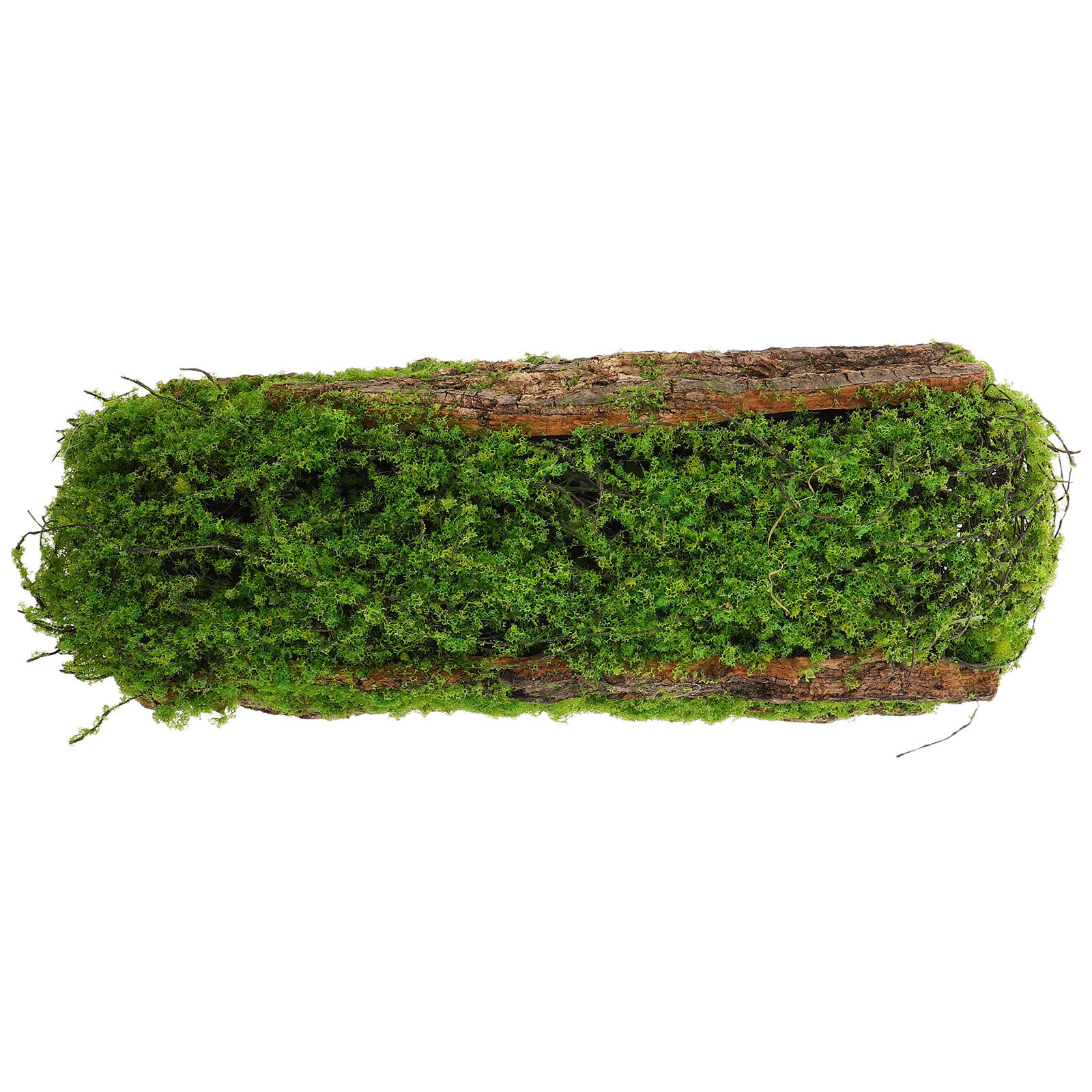 Artificial Moss Driftwood Deco - đánh giá và giá Planted Aquarium With Driftwood