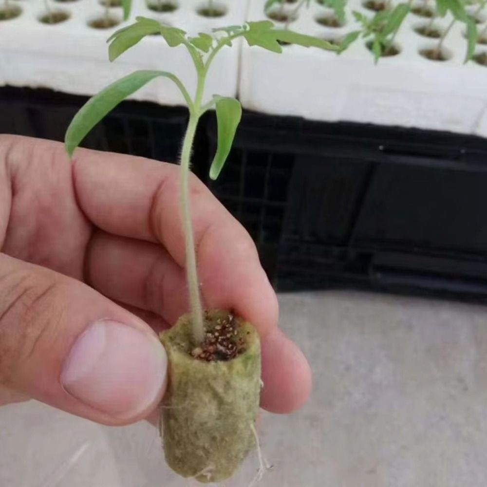 50PCS 27*20mm Size Hydroponic  - đánh giá và giá Aquasoil Substrate
