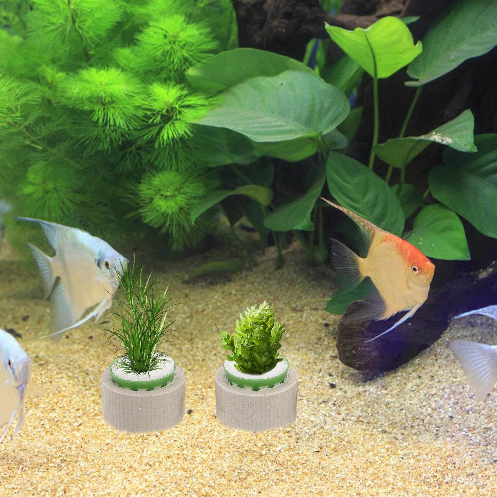 9Pcs Porous Ceramic Aquarium P - đánh giá và giá Aquarium Plant Design