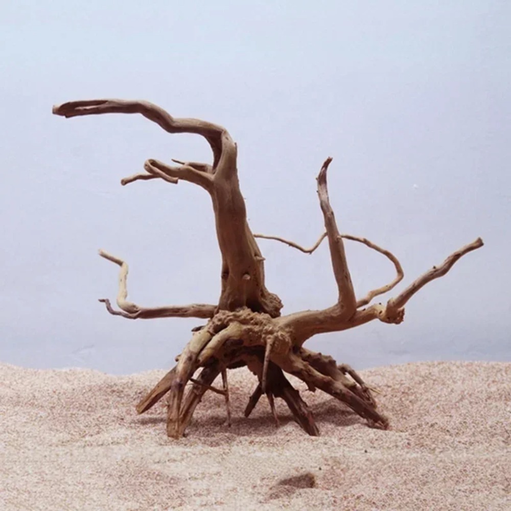 Natural Tree Trunk Driftwood A - đánh giá và giá Planted Aquarium With Driftwood