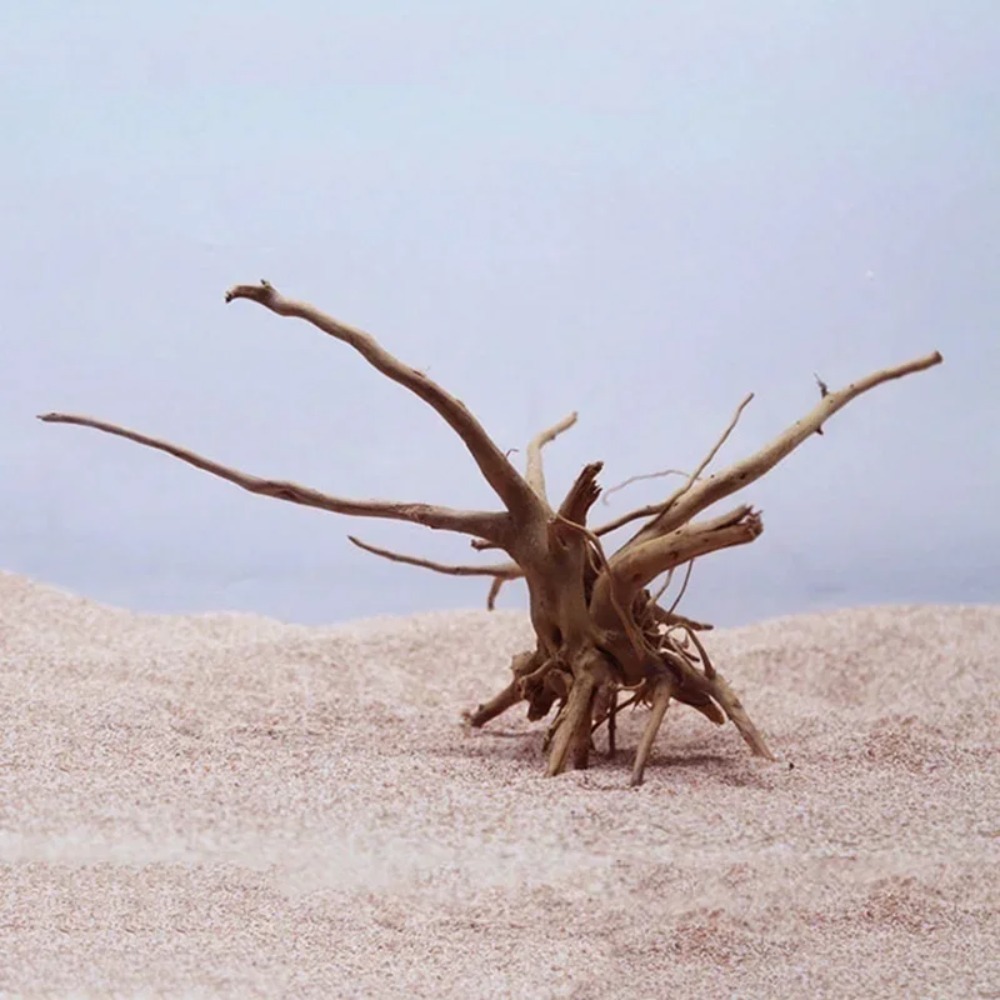 Natural Tree Trunk Driftwood A - đánh giá và giá Planted Aquarium With Driftwood