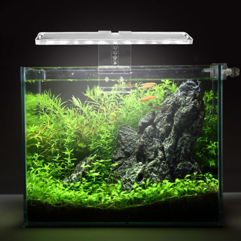 LED Aquarium Lamp Plant Light  - đánh giá và giá Planted Aquarium Price