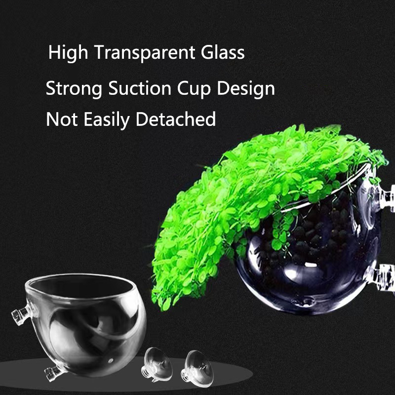 Glass Aquarium Decoration Hang - đánh giá và giá Planted Aquarium Mini