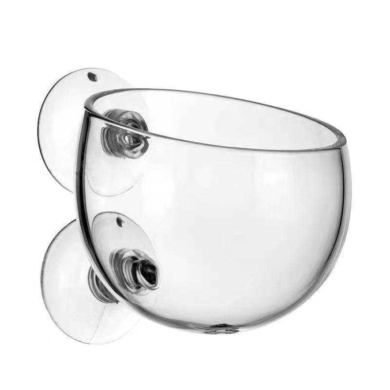 Glass Aquarium Decoration Hang - đánh giá và giá Planted Aquarium Mini