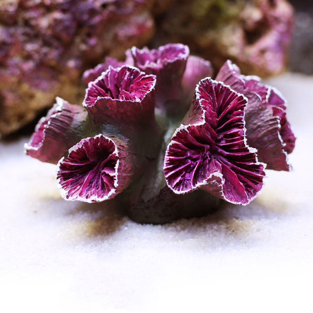 Coral For Fish Tank Aquarium R - đánh giá và giá Aquarium Plant Design