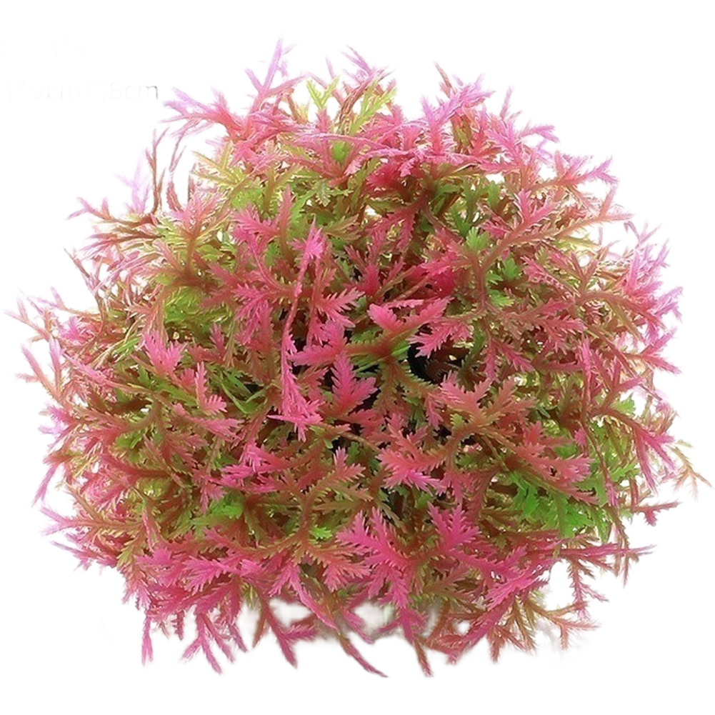 PE Aquarium Decor Artificial P - đánh giá và giá Aquarium Plant Design