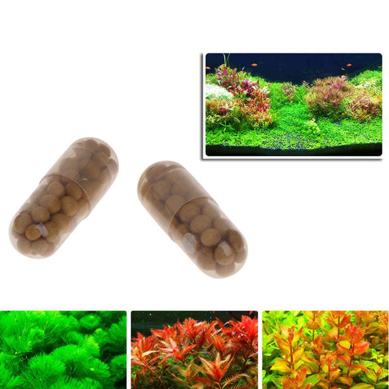 QX2E Aquarium Live Plant Ferti - đánh giá và giá Planted Aquarium Best Fish