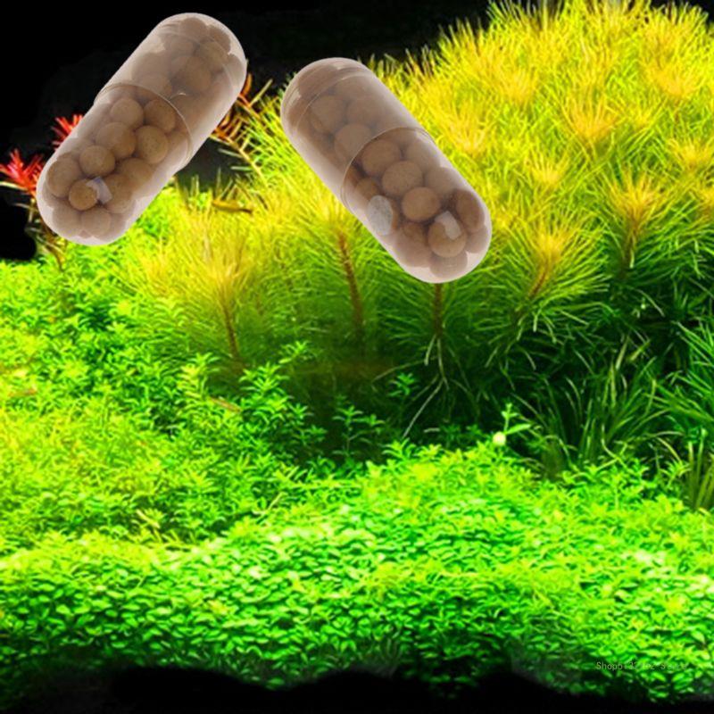 QX2E Aquarium Live Plant Ferti - đánh giá và giá Planted Aquarium Best Fish