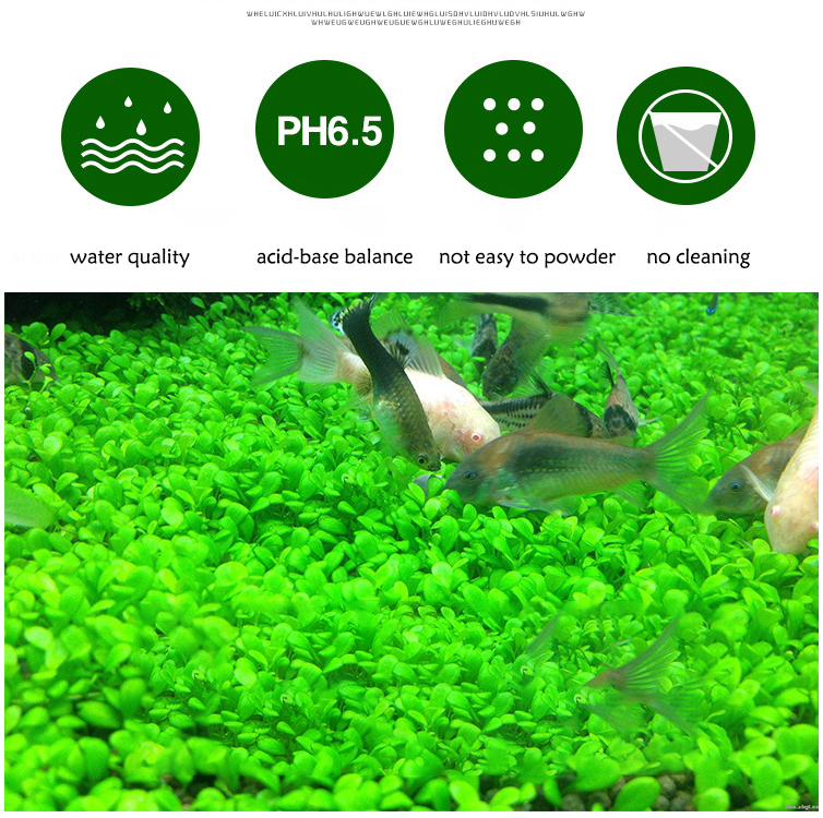 Aquarium Plant Seeds Soil Fish - đánh giá và giá Aquasoil Substrate