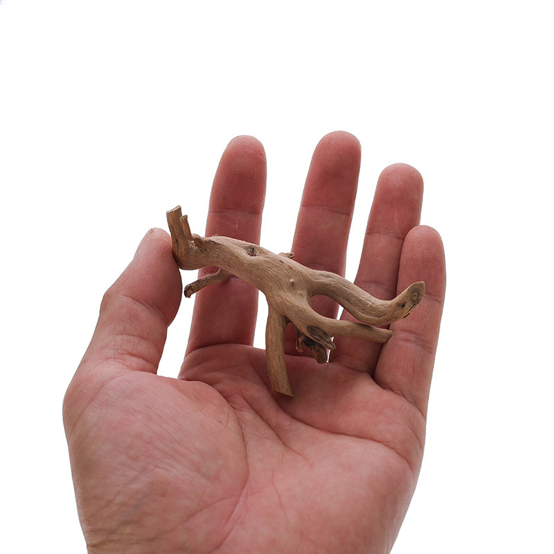 Fish Tank Sunken Wood Decorati - đánh giá và giá Planted Aquarium With Driftwood