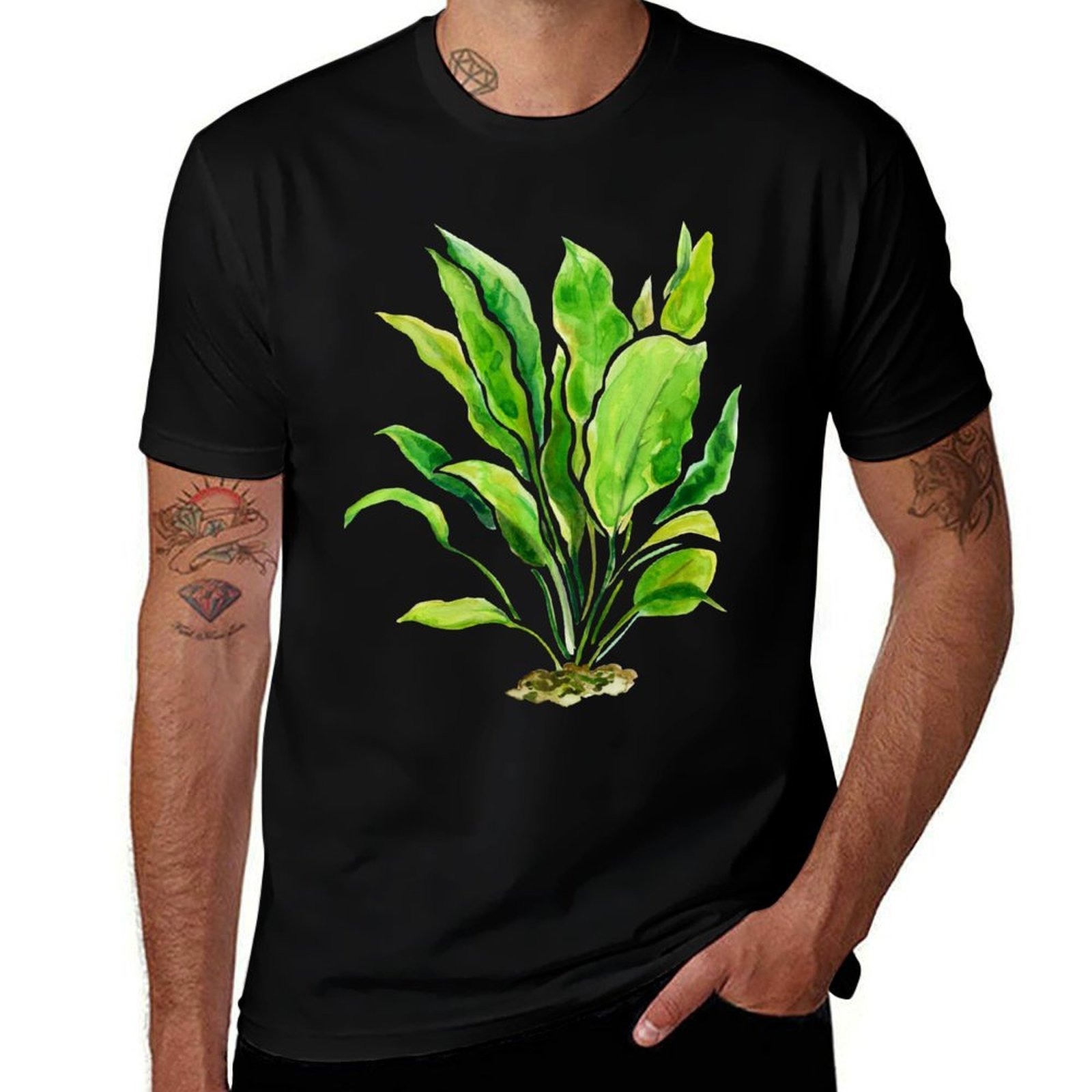 Aquarium Plants Series Amazon  - đánh giá và giá Planted Aquarium Basics